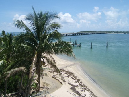 Plage de Virginia Key (RSMAS)